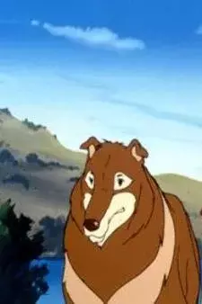 Arte de la Cubierta