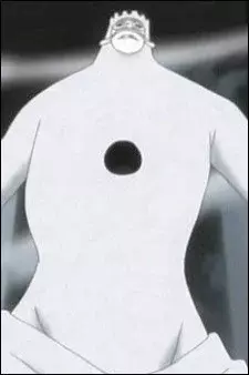 Arte de la Cubierta