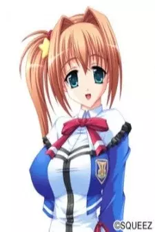 Arte de la Cubierta