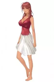 Arte de la Cubierta