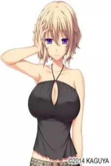 Arte de la Cubierta
