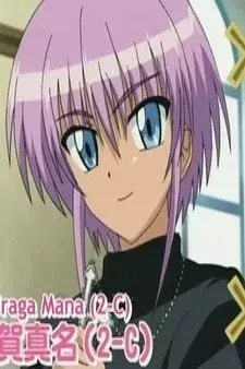 Cover Art