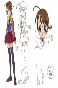 Arte de la Cubierta