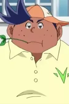 Arte de la Cubierta