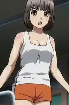 Arte de la Cubierta