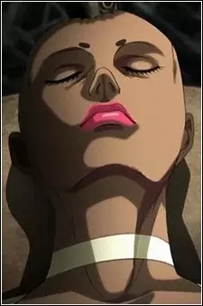 Arte de la Cubierta
