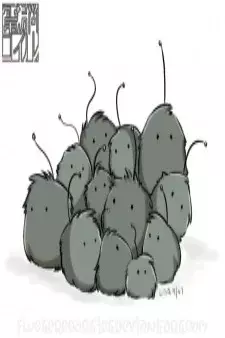 Arte de la Cubierta