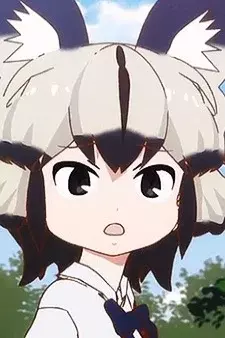 Arte de la Cubierta