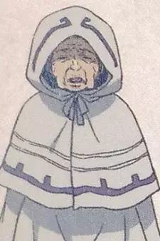 Arte de la Cubierta