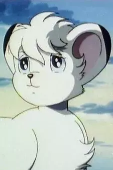 Arte de la Cubierta