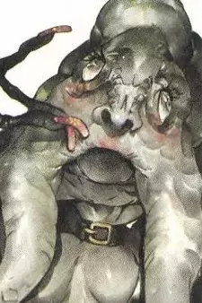Arte de la Cubierta