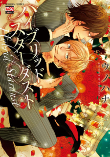 Capa de Hybrid Stardust