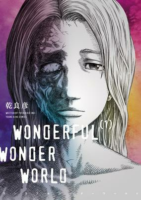 Capa de Wonderful Wonder World