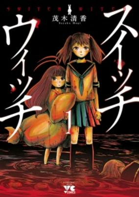 Capa de Switch Witch