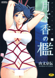 Capa de Gekkakou no Ori