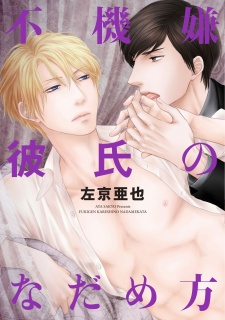cover image