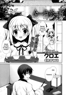Titelbild von Konjiki Renka