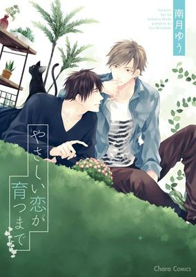 Capa de Yasashii Koi ga Sodatsu made