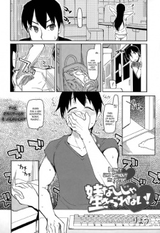 Capa de Imouto Nashi ja Ikirarenai!