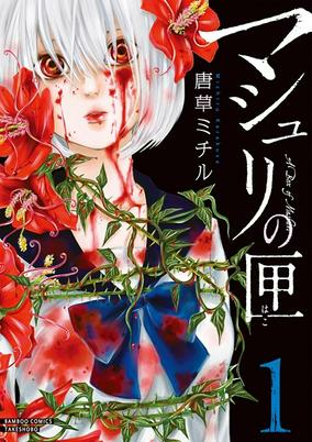 Capa de Mashuri no Hako
