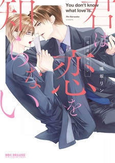 Capa de Kimi wa Koi wo Shiranai
