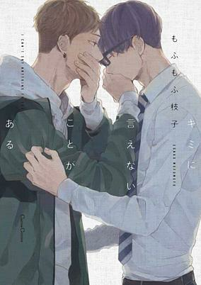 Capa de Kimi ni Ienai Koto ga Aru