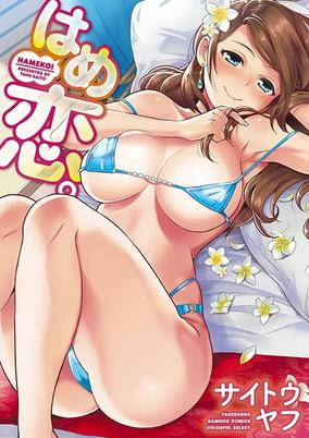 Cover of Hamekoi.
