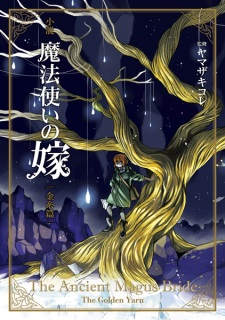 Cover Art