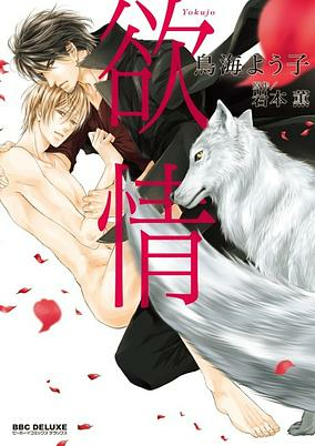 Capa de Yokujou