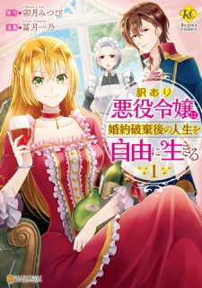 Cover of Wakeari Akuyaku Reijou wa, Konyaku Hakigo no Jinsei wo Jiyuu ni Ikiru