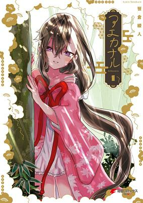Capa de Aekanaru