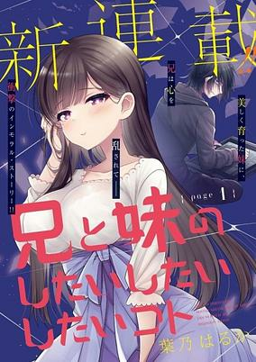 Capa de Ani to Imouto no Shitai Shitai Shitai Koto
