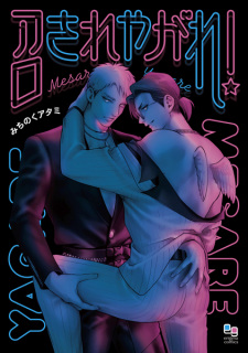 Arte de la Cubierta