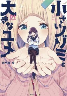 Capa de Chiisai Nozomi to Ookina Yume