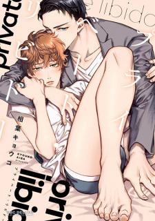 Capa de Private Libido