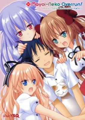 Capa de Mayoi Neko Overrun! 