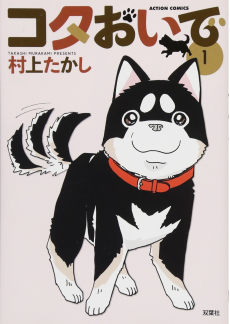 Cover of Kota Oide