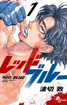 Capa de Red Blue