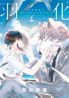 Cover Art