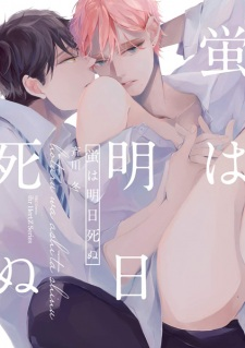 Titelbild von Hotaru wa Ashita Shinu