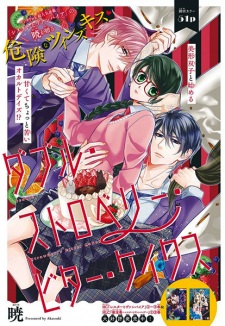 Cover of Double Strawberry Bitter Cakes