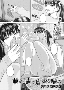Capa de Moyuru Ha wa Funiku wo Kami