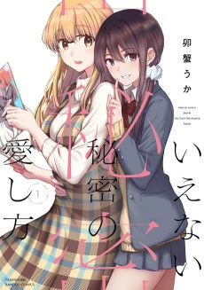 Capa de Ienai Himitsu no Aishikata