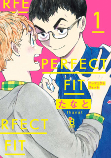 Capa de Perfect Fit