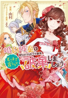 Capa de Konyaku Haki wo Mochikakerarete Juusuunen, Soko made Iu nara Haki shimashou!