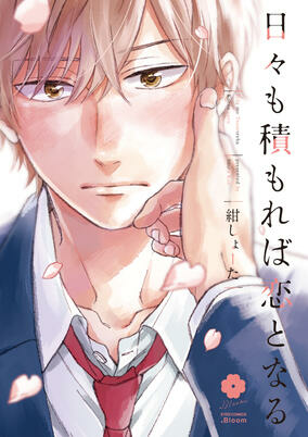 Capa de Hibi mo Tsumoreba Koi to Naru