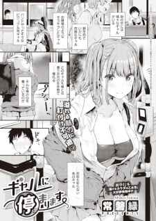 Titelbild von Gal ni Tomarimasu