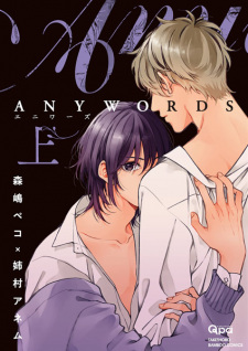 Capa de Anywords