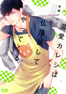 Capa de Dekiai Kareshi wa Bucchouzura shite Yattekuru