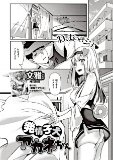 Titelbild von Hatsujou Koinu Akane-chan